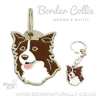 Border Collie Dog Tag (Brown & White)